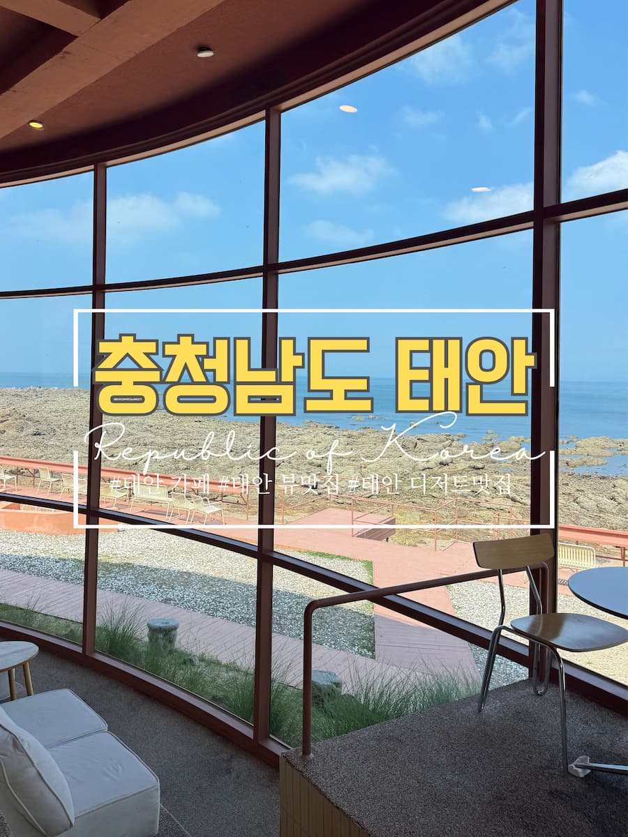 스테이인터뷰 파도리카페