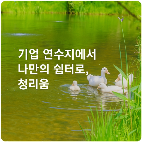 서울 근교 걷기 좋은 곳 추천 : 가평 청리움 트레킹 & 산책코스 가이드