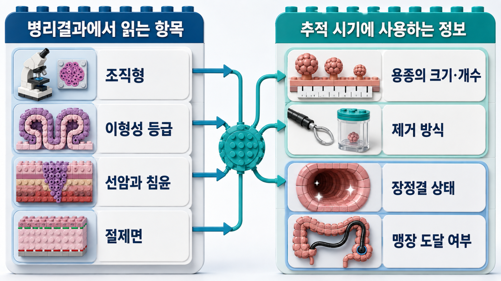 병리결과의 조직형·이형성·선암·침윤·절제면과 추적 시기에 사용하는 용종 크기·개수·제거 방식·장정결·맹장 도달 정보