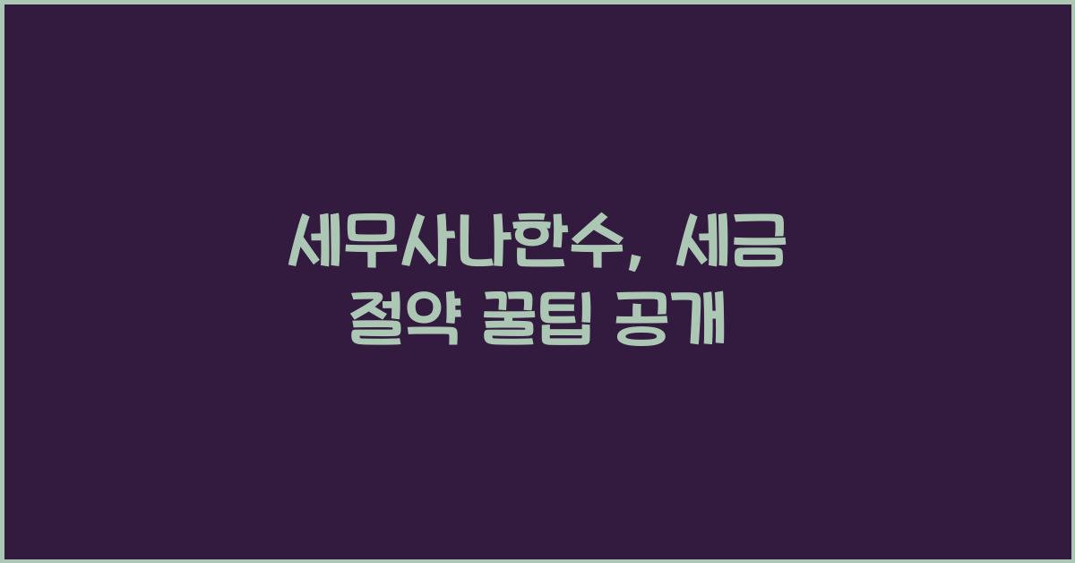 세무사나한수