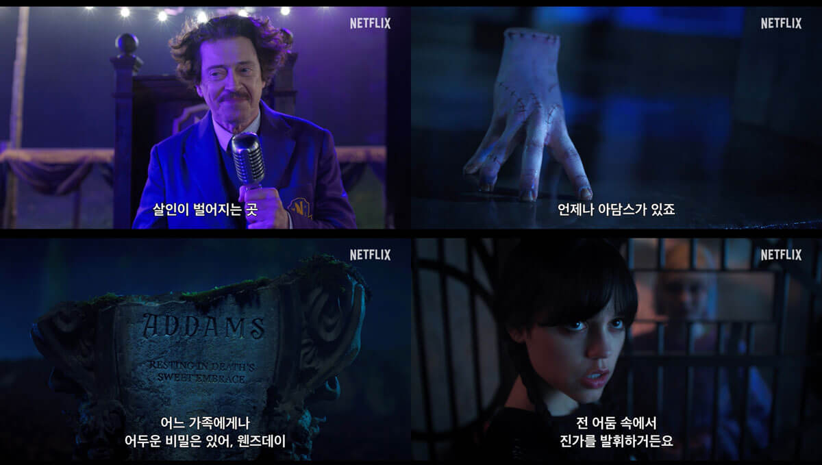 넷플릭스 웬즈데이