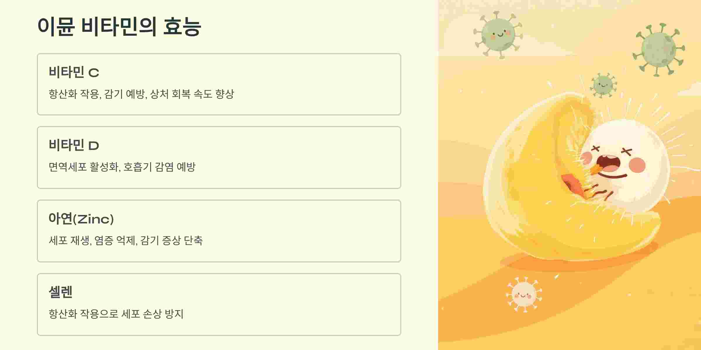 이뮨비타민-효능