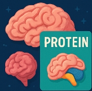 단백질 많은 음식