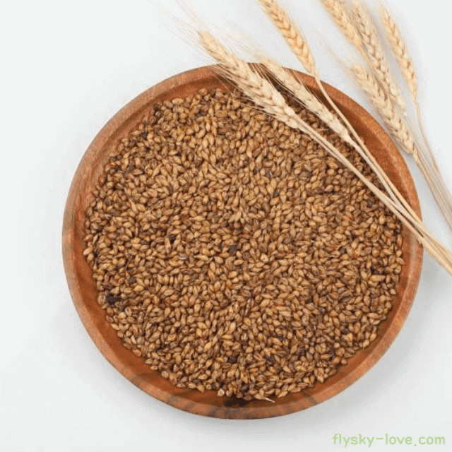 보리차 만드는 법