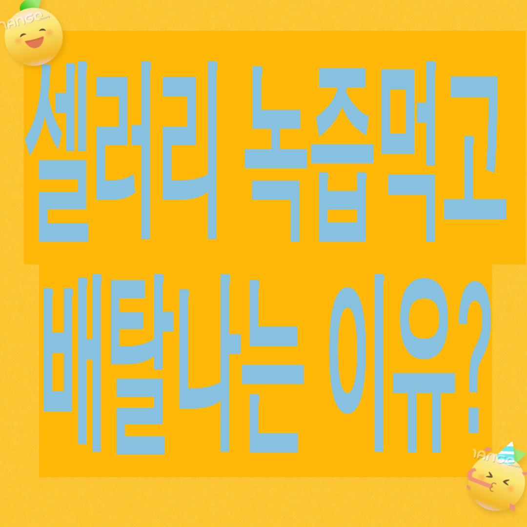 셀러리 녹즙 먹고 배탈 나는 이유?(사상체질볍정리,영양소,먹으면 않되는 유형,맛나게 먹는법)