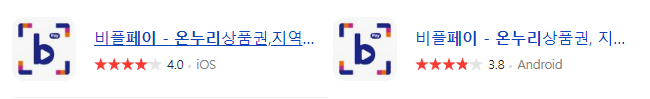 비플페이 사진