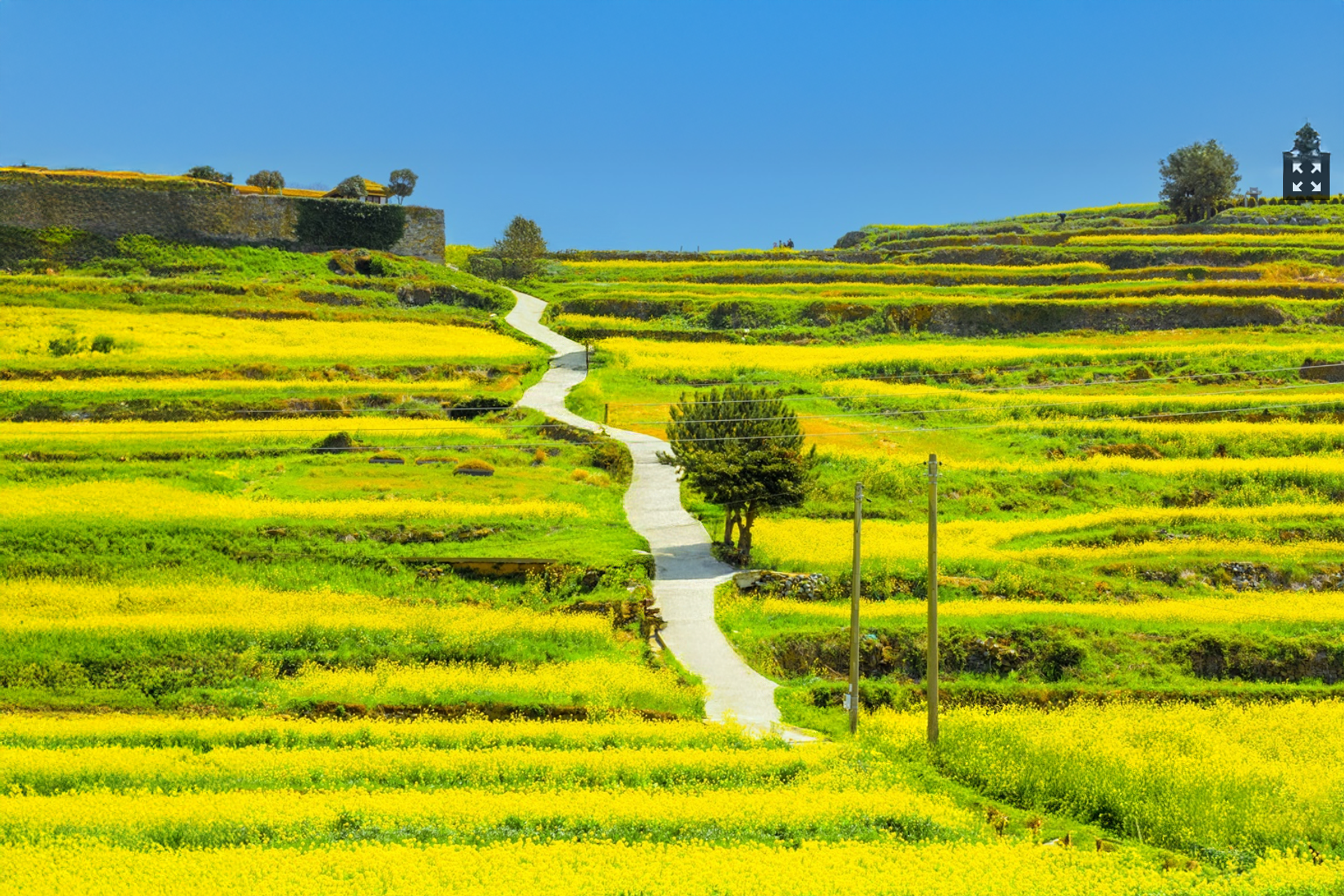 느리게 걷는 섬~봄날의 완도 청산도 슬로길 여행