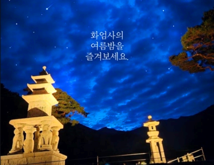 화엄사 의 밤 이미지