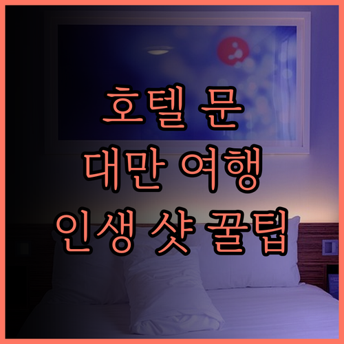 호텔 문.. 대만 인스타 핫플 호텔의