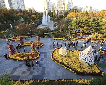 익산 천만송이 국화축제_24
