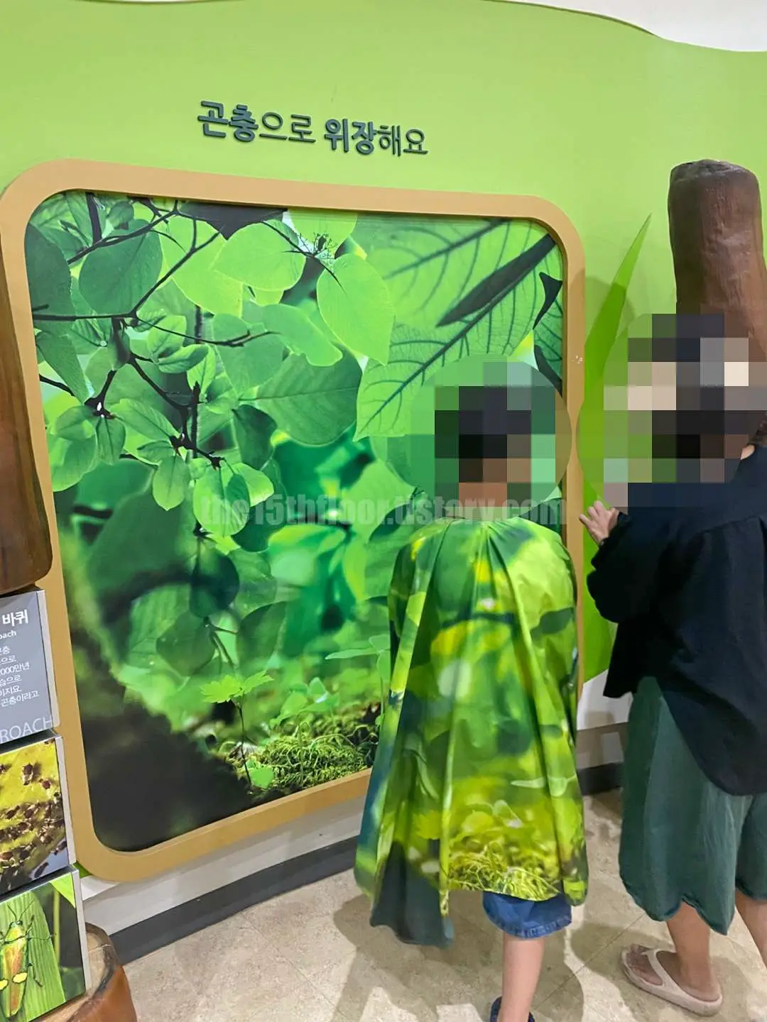 경남 의령 &amp;#39;의령 곤충생태학습관&amp;#39; (2층 &amp;#39;체험학습실&amp;#39;)