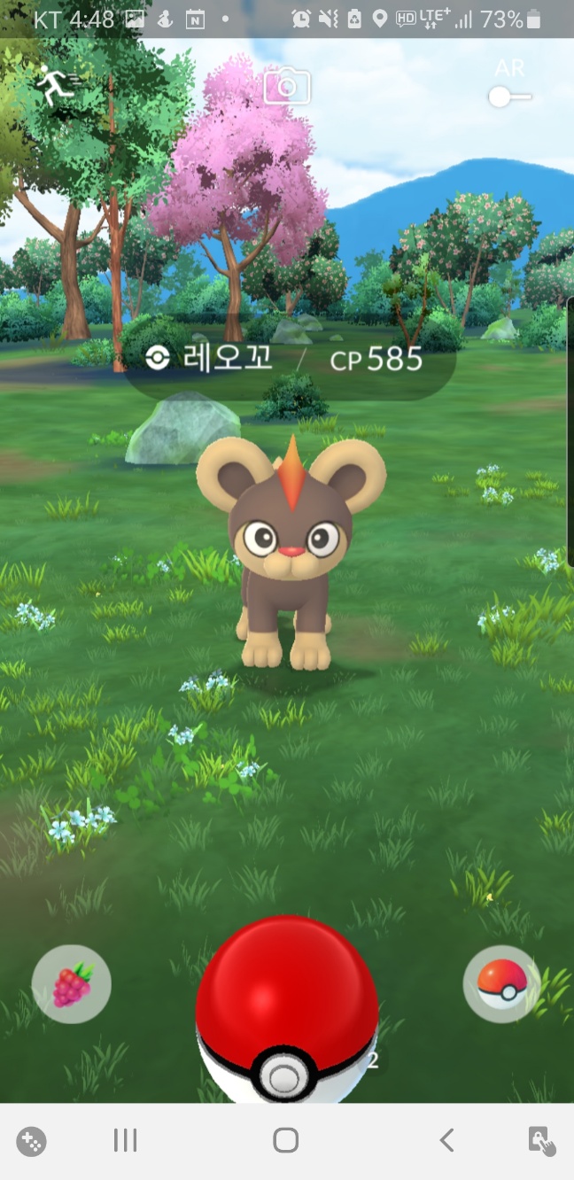 포켓몬 불꽃 스텝 시간제한 리서치