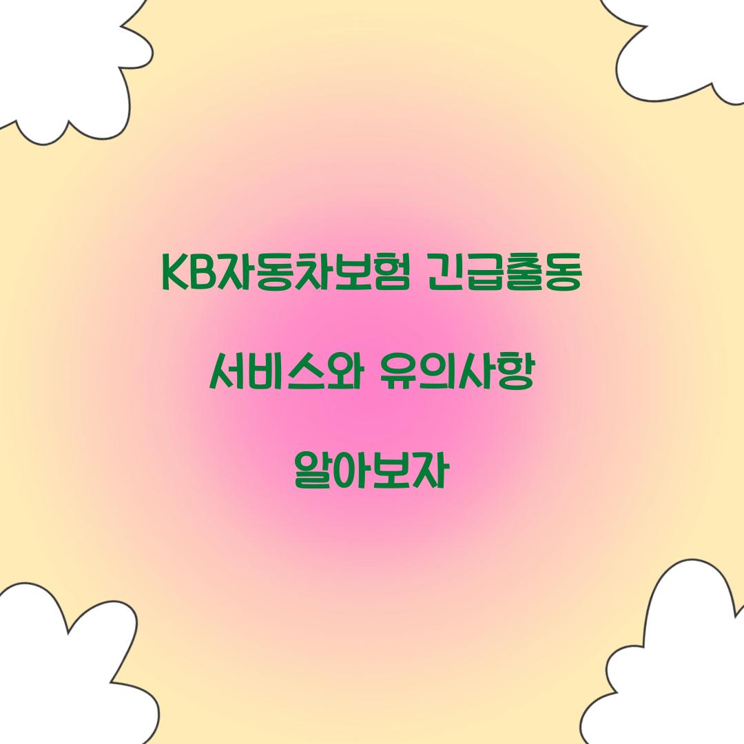 KB์๋์ฐจ๋ณดํ ๊ธด๊ธ์ถ๋