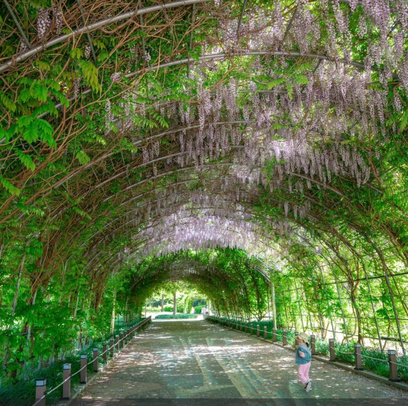 밀양-밀양댐생태공원