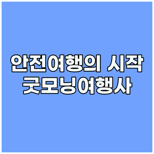 안전여행의 시작 굿모닝여행사 전담 케..