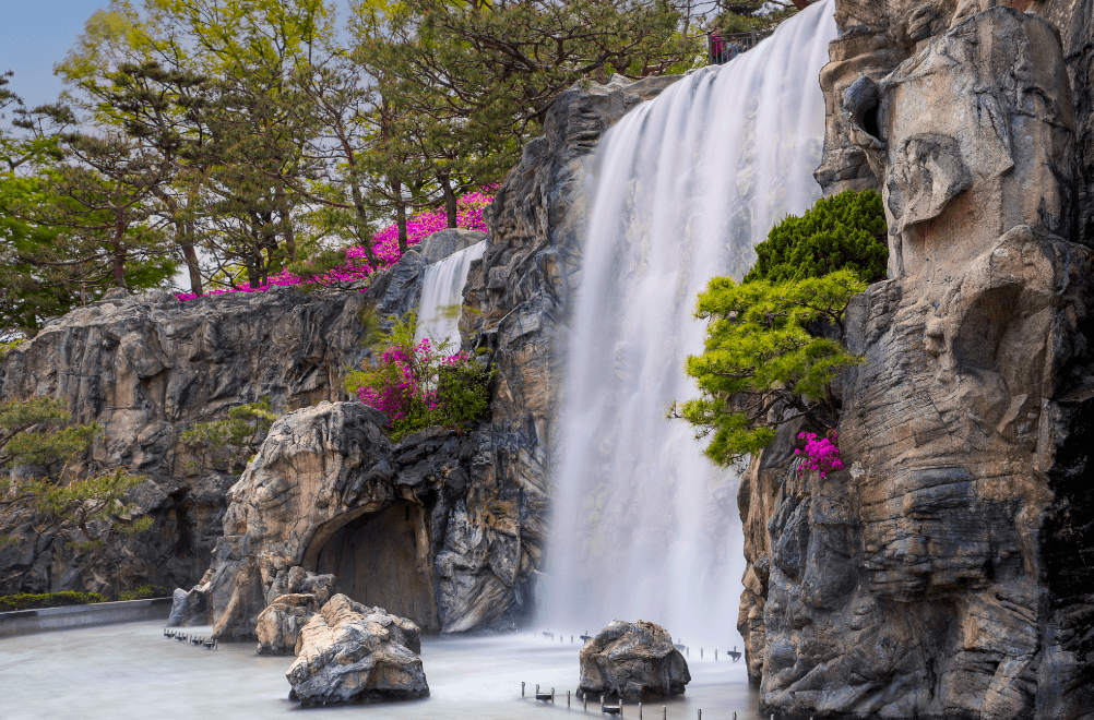 군포 철쭉 축제