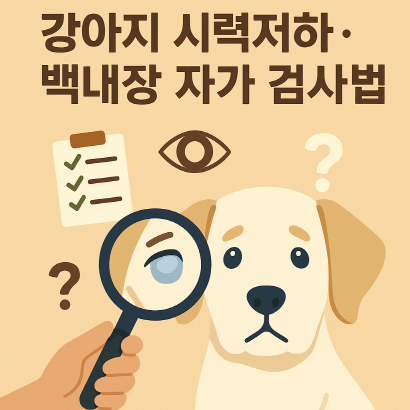 강아지 시력저하·백내장 초기 증상 & 자가 진단법