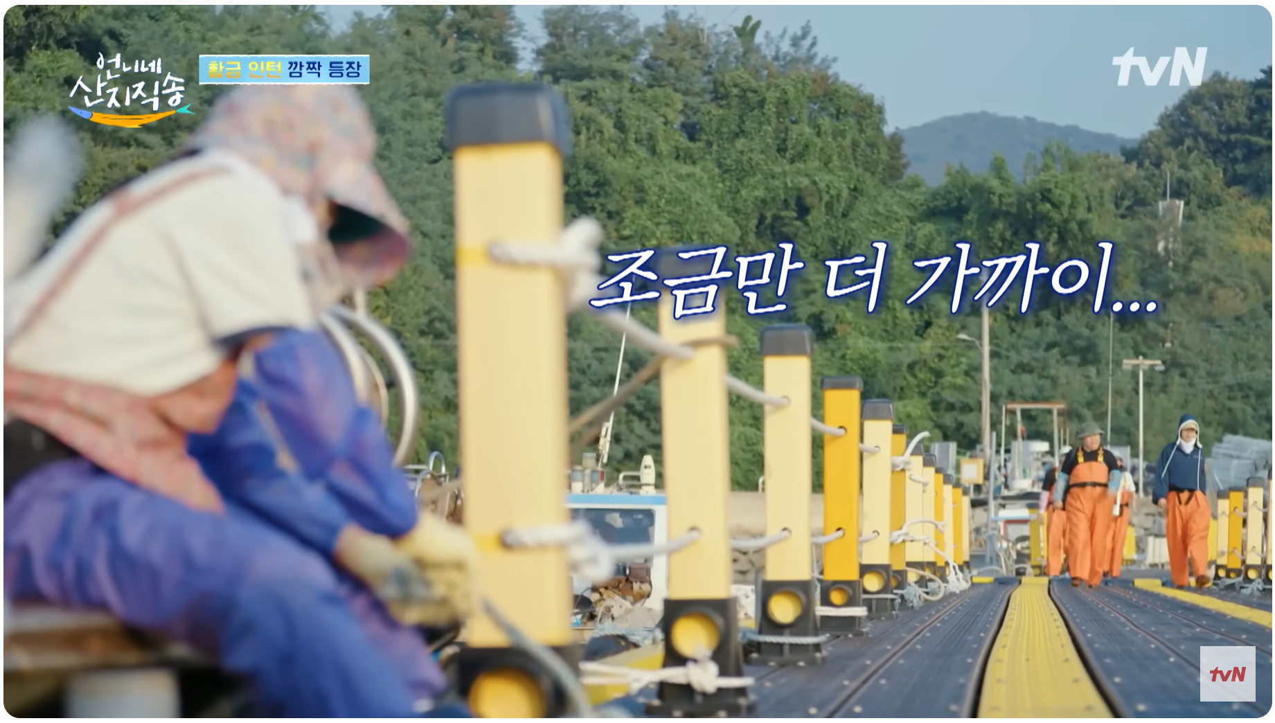 언니네 산지직송 4