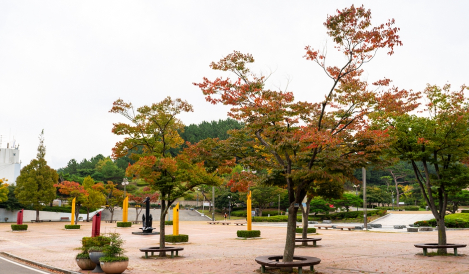 노을/명소/포항/핫플레이스/환호공원/스페이스/워크