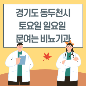 경기도 동두천시 토요일 일요일 비뇨기과 진료 문여는 병원 리스트