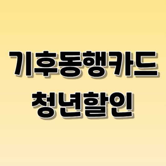 기후동행카드 청년할인