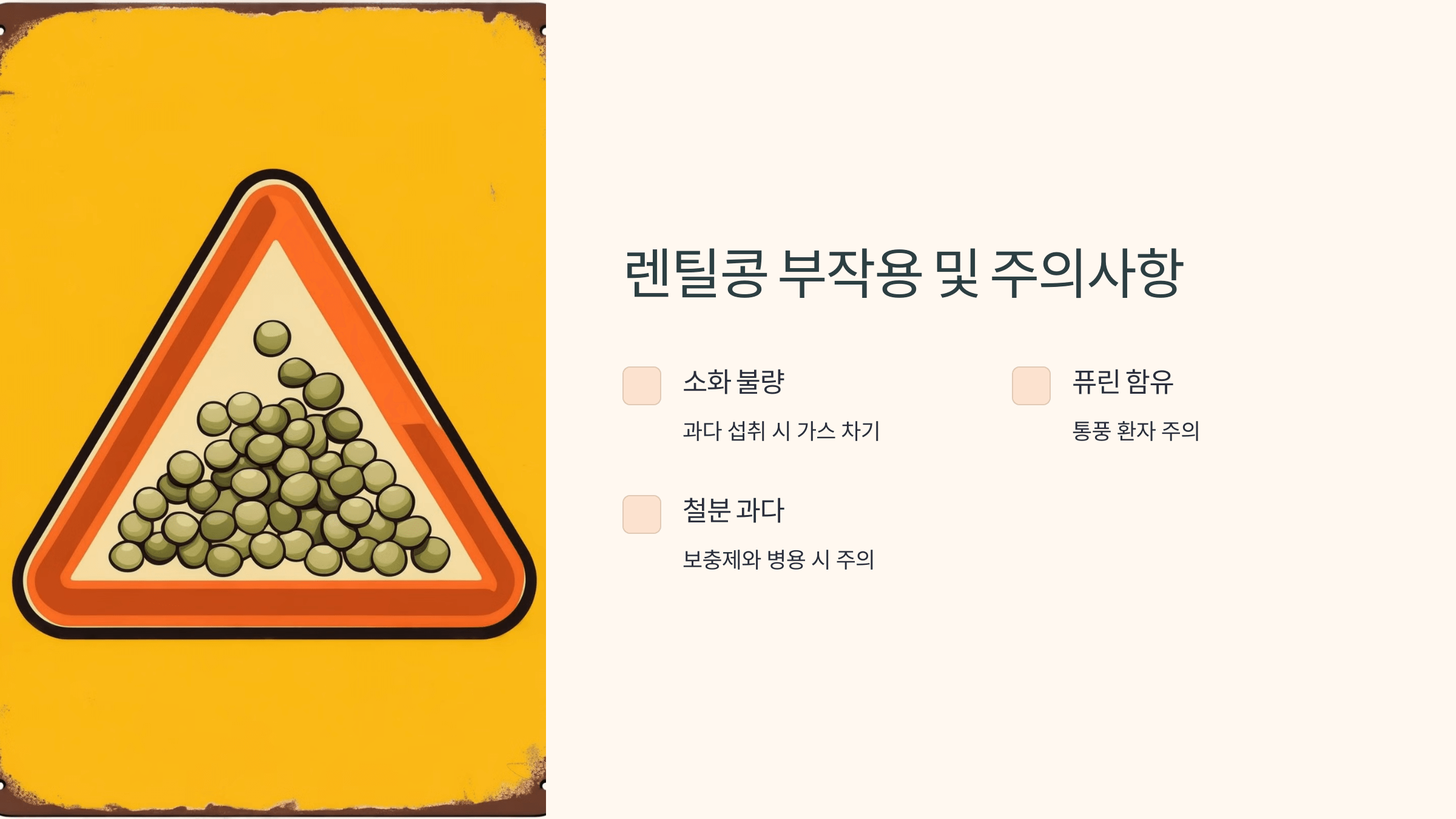 렌틸콩 사진입니다.