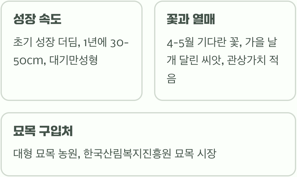 정원수로 박달나무 키우기, 묘목 심기부터 가지치기까지 A to Z
