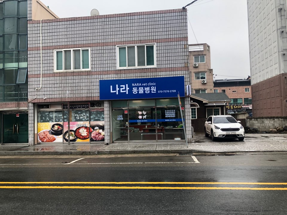 나라동물병원