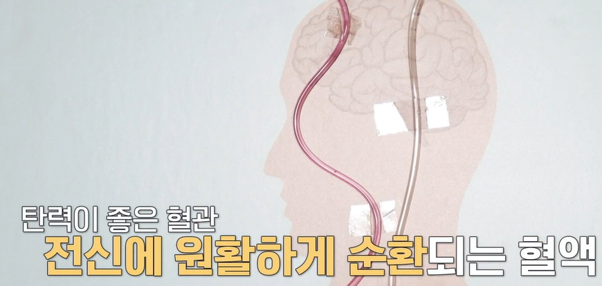 아르기닌의 효능