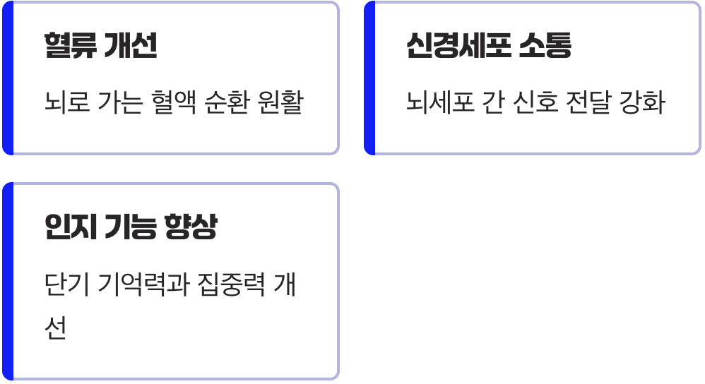 가물가물한 기억력, 선명하게 되돌리기