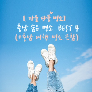 충남단풍명소
