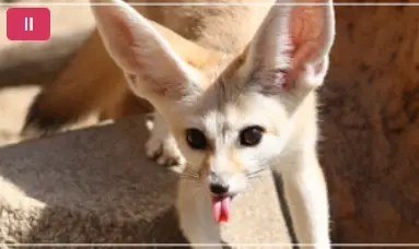 서울대공원-동물원-입장료-가격-할인-이용시간