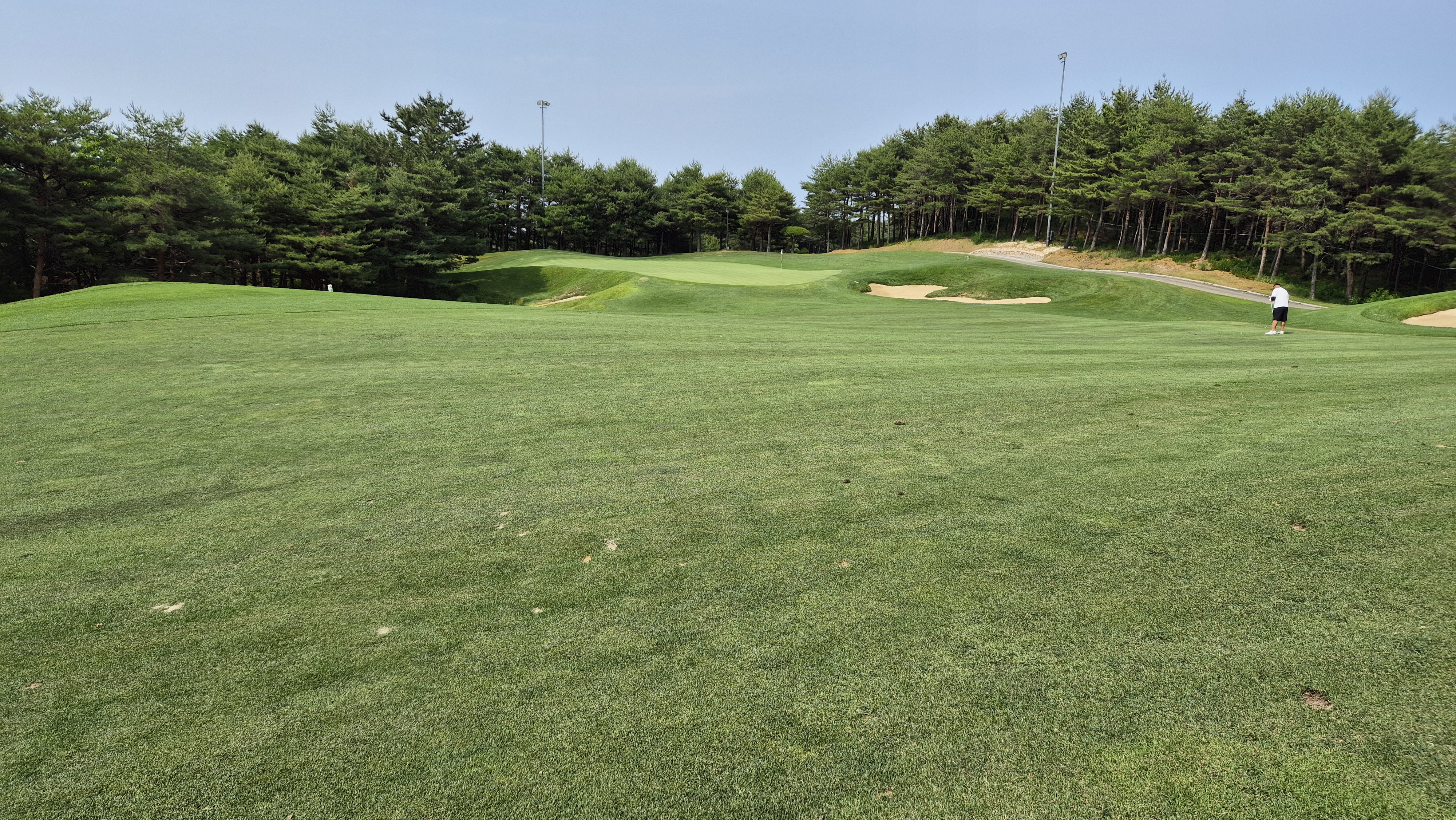 파인리즈cc 후기 및 코스사진