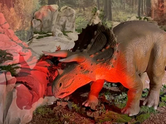 용인실내 아기랑 갈만한 곳 기흥 다이노베이