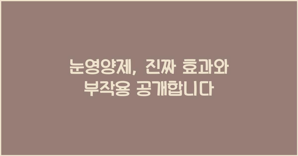 눈영양제