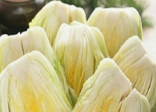 절임배추 김장배추구매 사전예약 가격비교