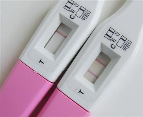 냉동난자 보조생식술 지원사업