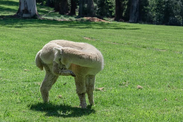 ์ป์ ํจ๋ฅ๋ถํฐ ์ป๋ญ ๋ง๋ค๊ธฐ๊น์ง, ์๋ ๋ฅด๊ธฐ ์์ด ์์ ํ๊ฒ ์ฆ๊ธฐ๊ธฐ