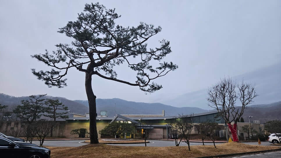 골프장 경험담 용인 글렌로스cc 공작새와 같이 하는 골프장 삼성이 만들고 에버랜드가 관리하는 명품