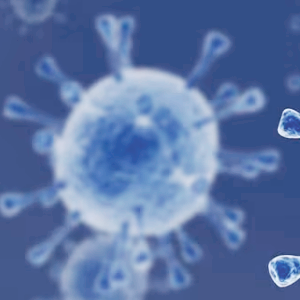 전염병 관련주 대장주 테마주 수혜주 TOP5