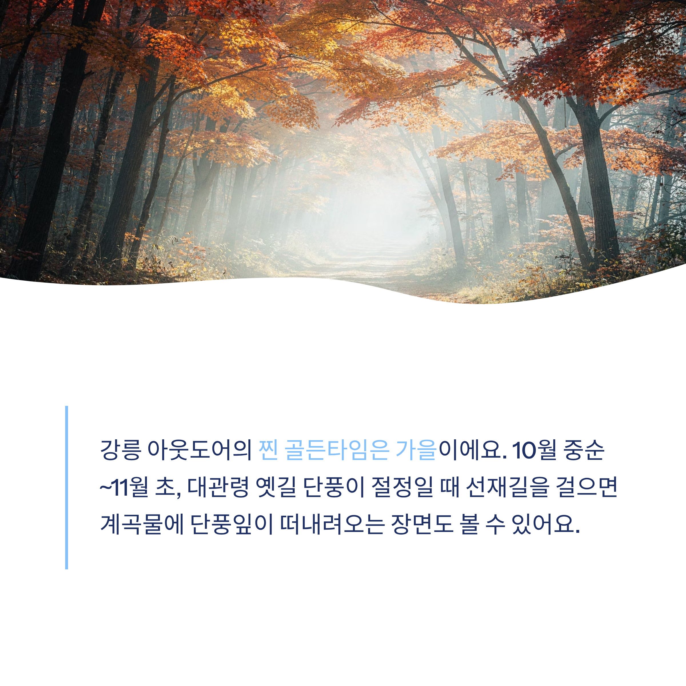 강릉 근교 산책 달리기 트레킹 코스 추천 ❘ 바다와 소나무 숲 사이를 걷는 법