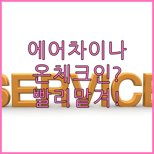 에어차이나 온라인 체크인 후 공항에서..