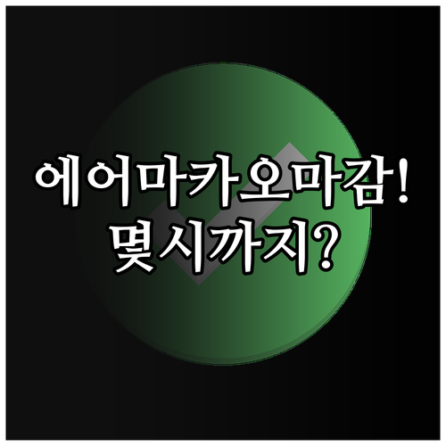 인천공항 에어마카오 제1터미널 H구역..