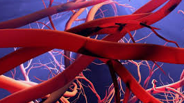 혈류 개선을 위한 운동법