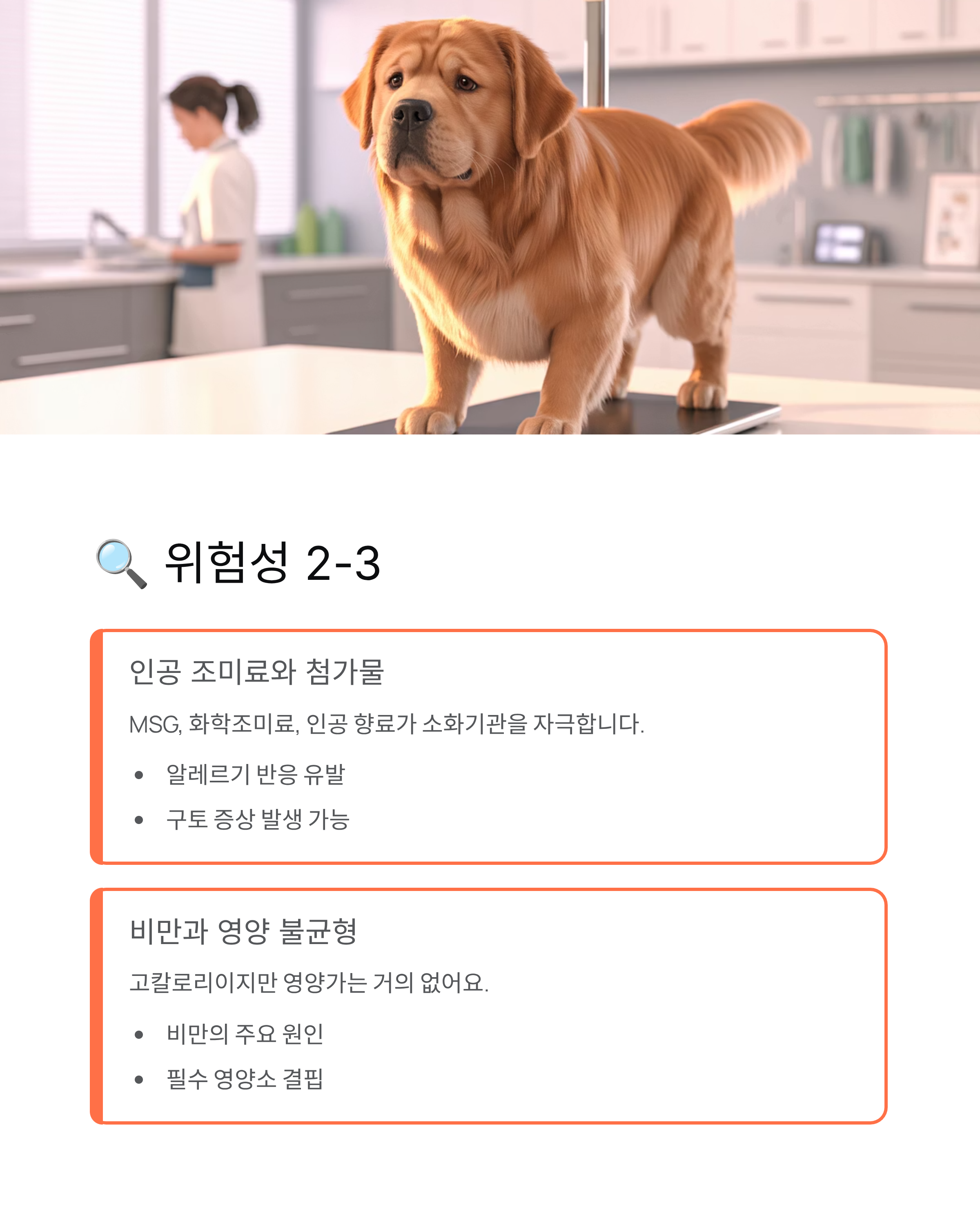 강아지 새우깡 먹어도 될까? 꼭 알아야 할 5가지 진실