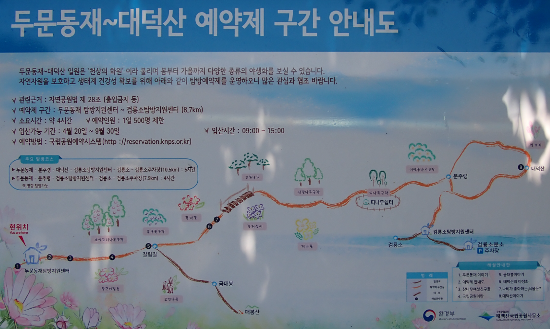 태백시 태백산 금대봉 안내도