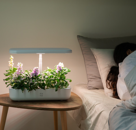 가정용 식물재배기