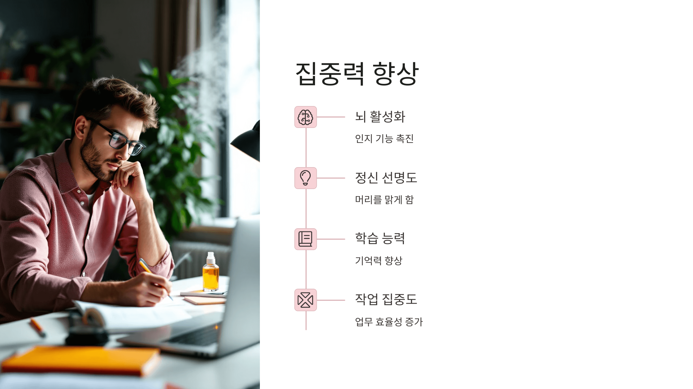 베르가못 사진입니다.