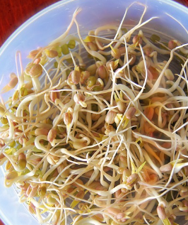 황태 콩나물국 만드는법