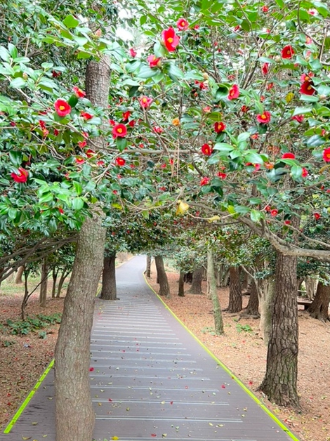 여수 가볼만한곳 베스트10